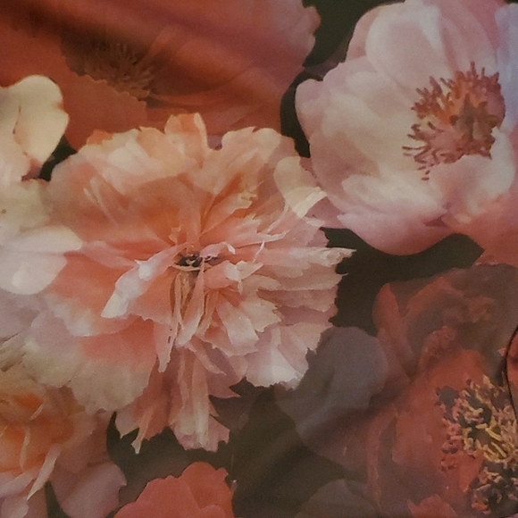 TORRID ☆ FLIRTY ☆ SCUBA ☆ 2 - IN - ONE ☆ FLORAL DRESS ☆ 5x ☆  NWT - Picture 6 of 10